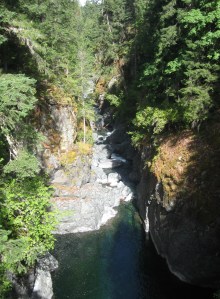 up to Xmas2011 316 (2)