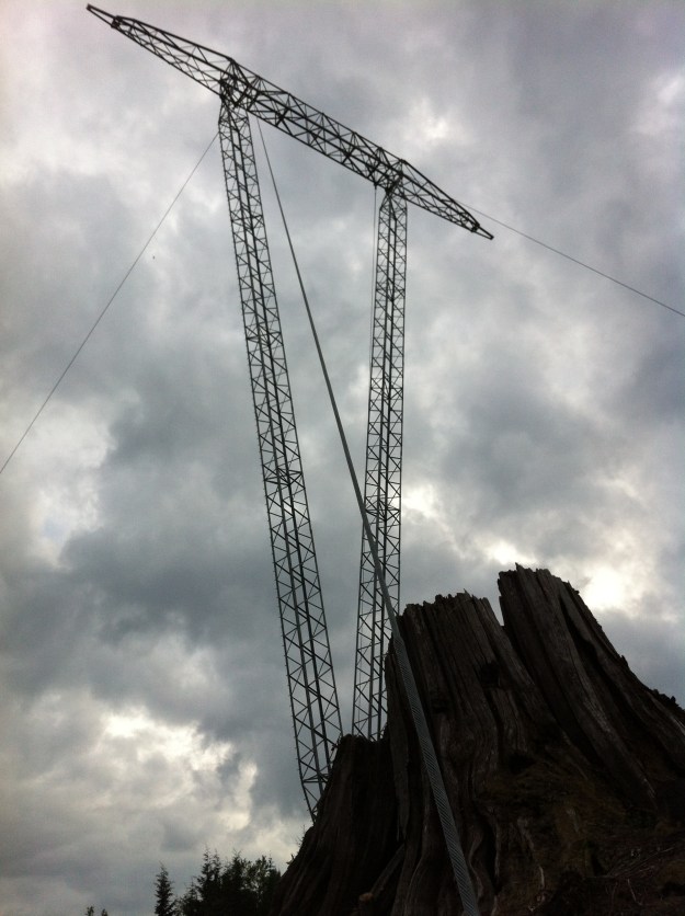 2014 summer starts 013