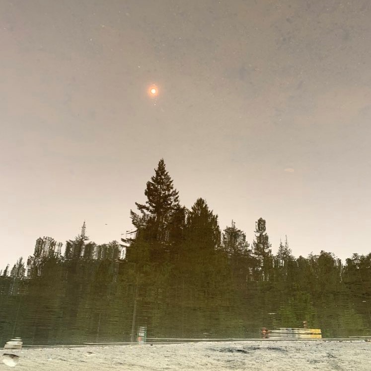 This image has an empty alt attribute; its file name is img_7046-2-1.jpg